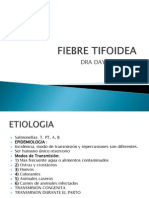 Fiebre Tifoidea Ppt