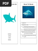 Shark Identification Key Final