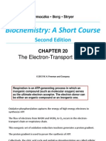 Chapter 20 ETC and Oxidative Phosph