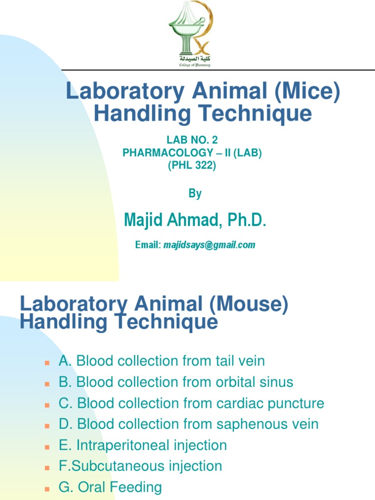 Mouse Injection and Blood Collection Techniques | PDF | Syringe ...