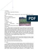 Download Tumbuhan Monokotil Dan Dikotil by win selalu SN24882952 doc pdf