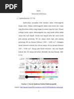 Download 139641123 Penetapan Kadar Parasetamol Dalam Tablet Isi by Arno Shattryanh SN248831511 doc pdf