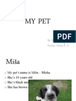 My Pet