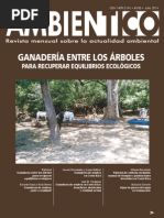 Ganadería de sombra