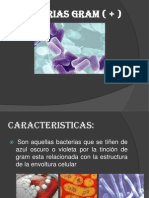 BACTERIAS GRAM ( + )