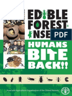 Edible Forest Insects - Humans Bite Back