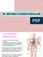 3b El Aparato Cardiovascular