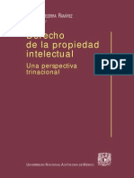 Derecho de La Prop Int Book