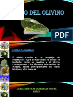Petrologia OLIVINO