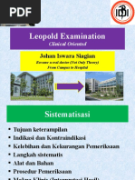 Download Leopold Examination by johan170189 SN24885849 doc pdf