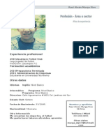 Curriculum Vitae Modelo1 Oscuro