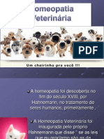 Homeopatia veterinária: princípios, casos e benefícios