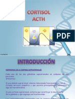 Cortisol