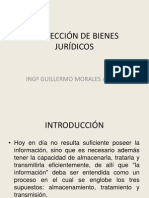 Protección de Bienes Jurídicos