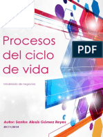 Procesos Del Ciclo de Vida12