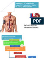 RIFunción dominante riñones control presión arterial