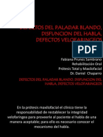 DEFECTOS DEL PALADAR BLANDO, DISFUNCION DEL HABLA fabiana.pptx