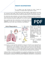 Clase Respiratorio Final