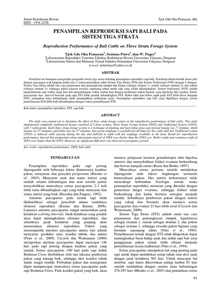Jurnal Sapi Bali | PDF
