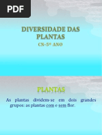 Constituição das plantas