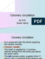 03-07 Lecture Coronary Circulation