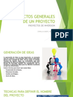 Aspectos Generales de Un PIP