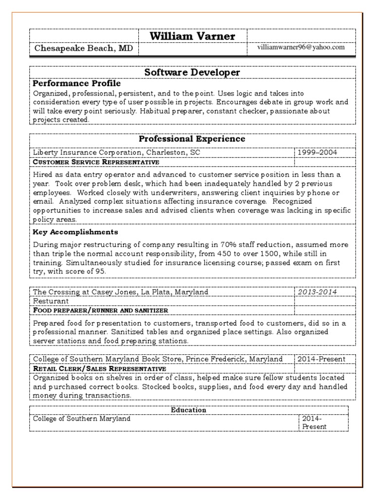 Software Developer Performance Profile | PDF
