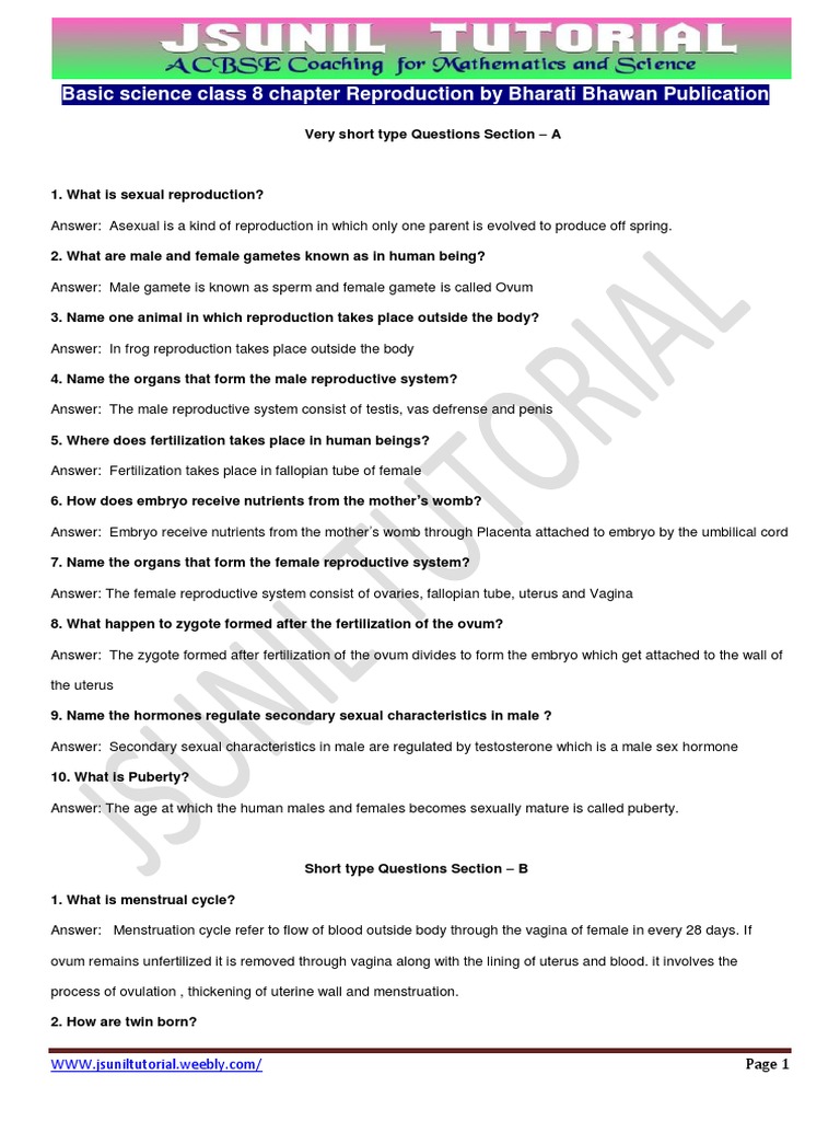 Human body organs essay picture