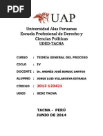 Coco Teoria Del Proceso