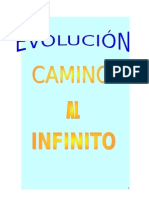 Evolucion Camino Al Infinito