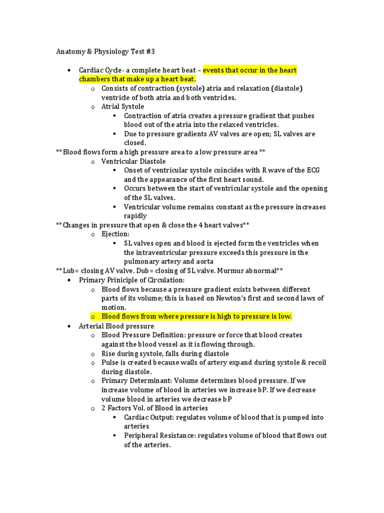 Test 3 Review Part 1 | PDF | Lymphatic System | Heart Valve