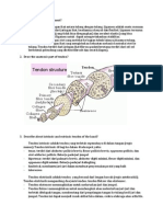 Tugas Modul 3