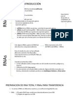 Northern Blot Metodo No Radiactivo