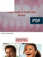 Aula3_classificação Dos Dentes_representação Grafica