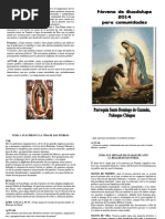 Novena Guadalupana 2014