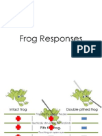 Frog Responses