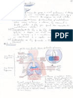 Fisiologia - Apontamentos -Aparelho Respiratorio