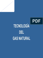 Tecnologia Del Gas Natural