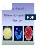 Seminario Nc2b03 Cultivo de Microorganismos