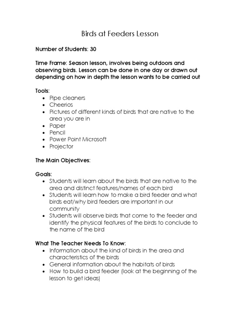 Birds At Feeders Lesson Pdf Microsoft Power Point Teaching