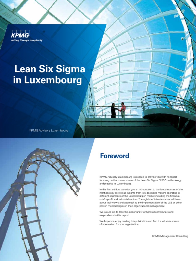 Lean Six Sigma Pdf Download Free Pdf Lean Manufacturing Six Sigma