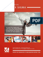 Ebook Lean Six Sigma Xlgroupe 503915 PDF