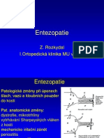 Vyuka 2006 - Entezopatie
