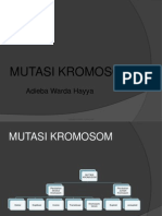 Mutasi Kromosom Genetika