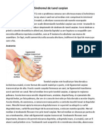 Sindromul de Tunel Carpian