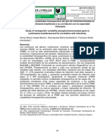 Estudio de la variabilidad intraespecífica del gen de fosfomanomutasa en Leishmania braziliensis y su correlación con la capacidad infectante