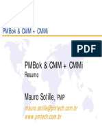 PMBOK&CMM+CMMI