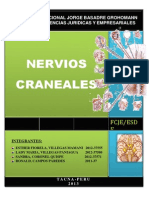 Monografia de Los Pares Craneales