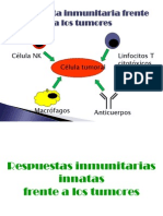 Respuesta Inmunitaria A Tumores