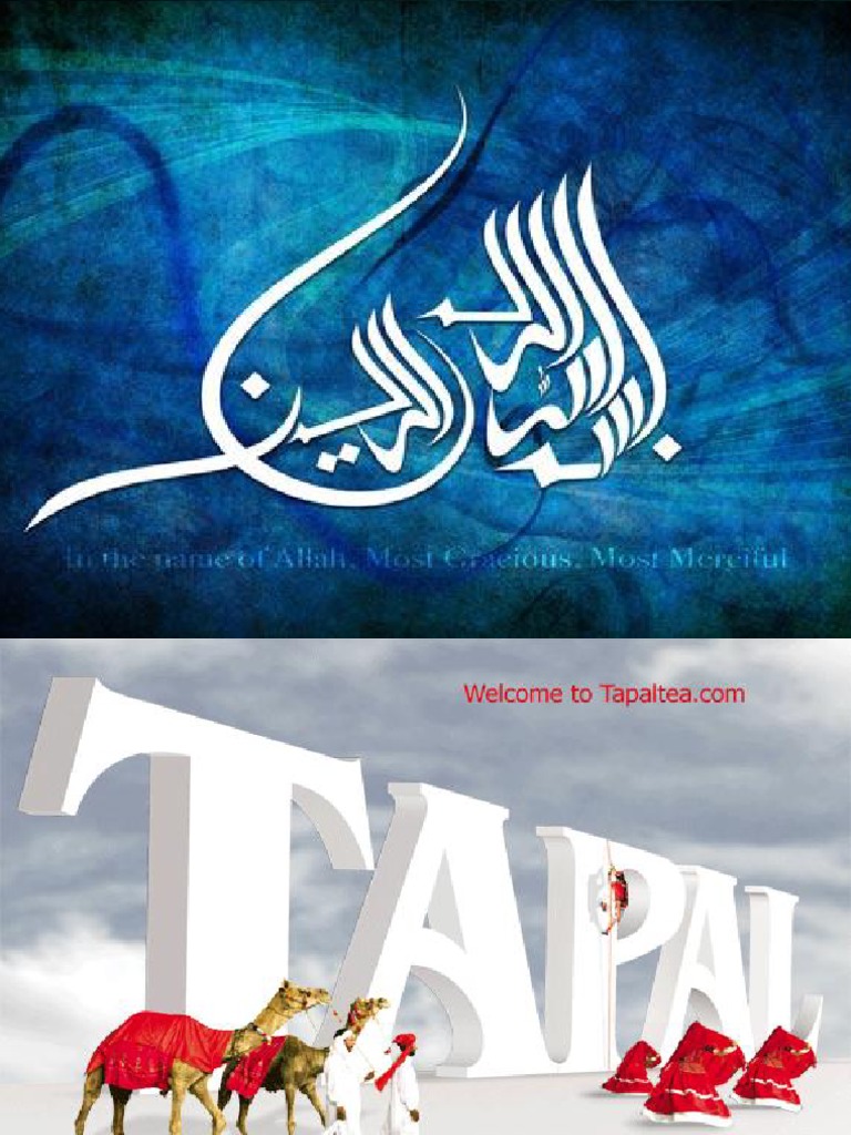 Overview of Tapal Tea Company | PDF | Tea | Brand